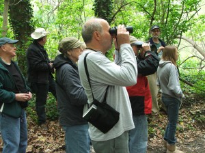 19th Annual Summer Bird Count @ Riverbend Environmental Education Center | Gladwyne | Pennsylvania | United States